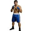 FIGHT-FIT - Boxing Shorts / Boxhosen / Blau-Weiss / XL
