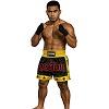 FIGHTERS - Muay Thai Shorts / Schwarz-Gelb / Small